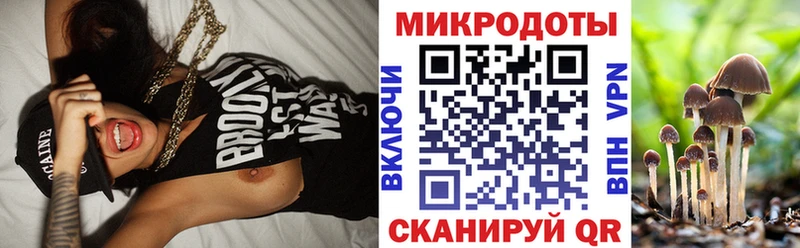 Галлюциногенные грибы Cubensis Гаврилов-Ям